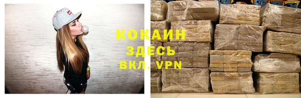 твердый Инта