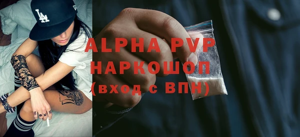 твердый Инта
