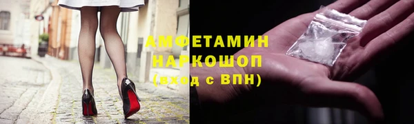 твердый Инта