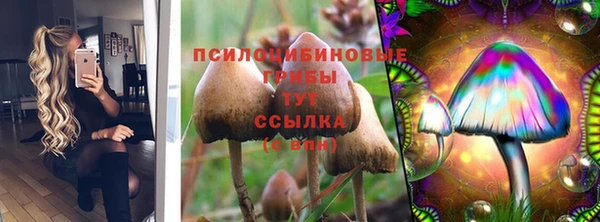 jwh Каменка