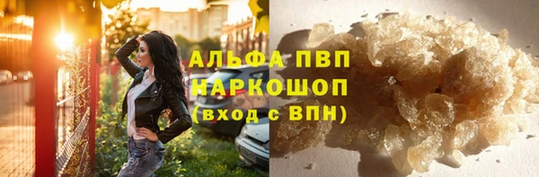 твердый Инта