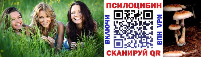 ссылка на мегу вход закладка Приволжский Псилоцибиновые грибы Magic Shrooms